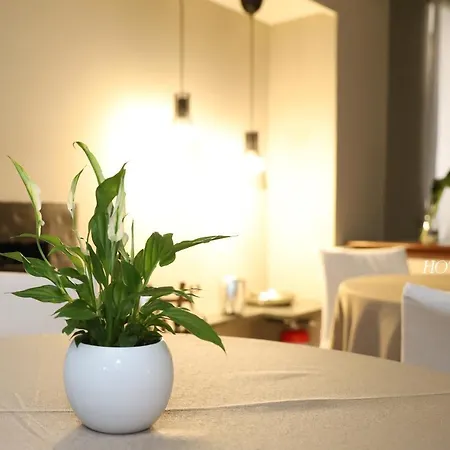 Hotel Palma 3*