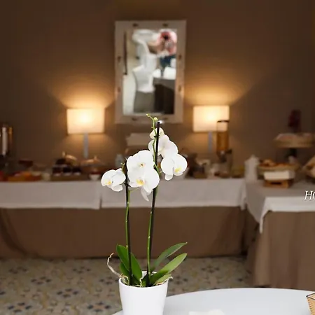 Palma Hotel